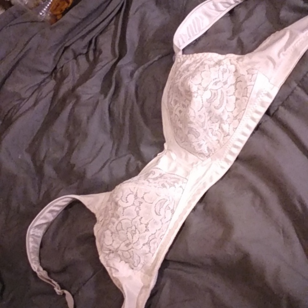 Cabernet bra sz 38B